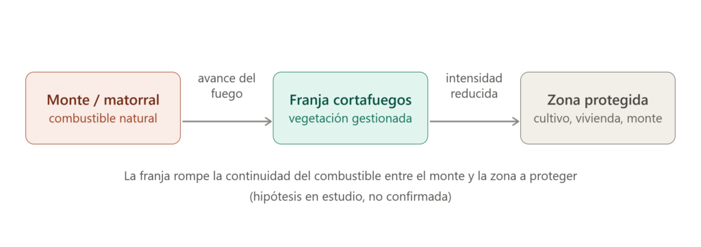 Diagrama sobre el concepto del cortafuegos verde