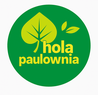 Hola Paulownia